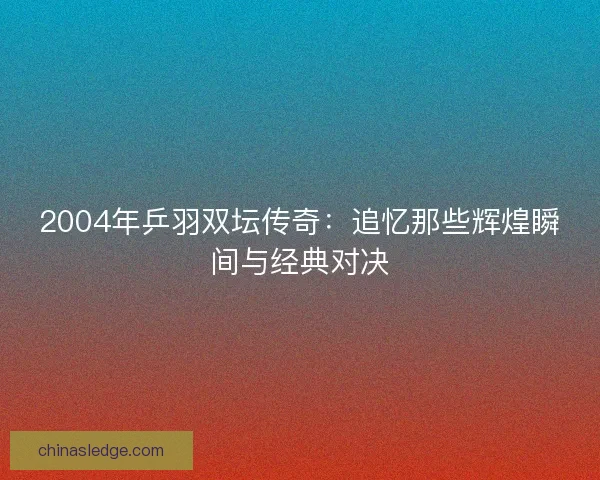 2004年乒羽双坛传奇：追忆那些辉煌瞬间与经典对决