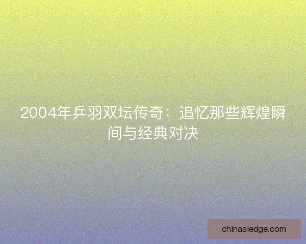 2004年乒羽双坛传奇：追忆那些辉煌瞬间与经典对决